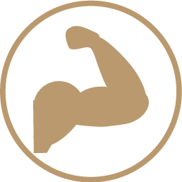 BODYformer
